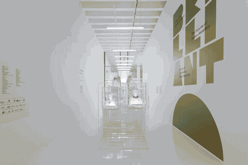 Image for Mostre Tematiche - Brilliant! I futuri del gioiello italiano