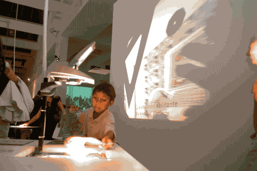 Image for Mostra Quotidiano sostenibile