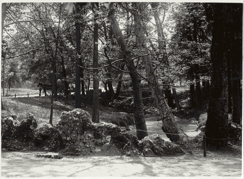 Image for Lavori di sistemazione del parco Sempione