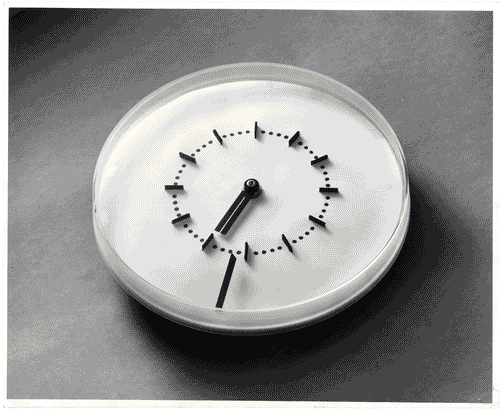 Image for XIII Triennale - Le produzioni - Orologio elettrico