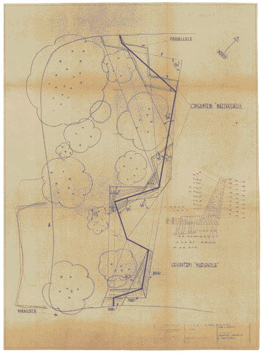 Image for Parco. Mostra del fiore e del giardino. Indicazione specie vegetali: impianto crisantemi, marignolle e mazzucchelli