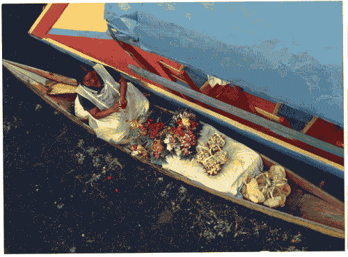 Image for Venditore di fiori ai giardini galleggianti di Xochimilco di Città del Messico