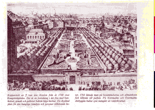 Image for XVII Triennale - Le città del mondo e il futuro delle metropoli - Partecipazioni internazionali - Sezione Svezia - Stoccolma - Raffigurazione di Kungsträdgården del '700