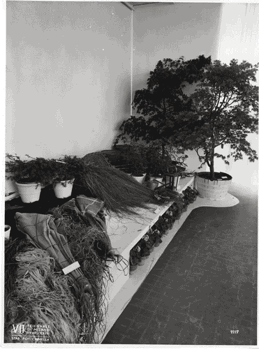 Image for VII Triennale - Mostre temporanee - Mostre floreali