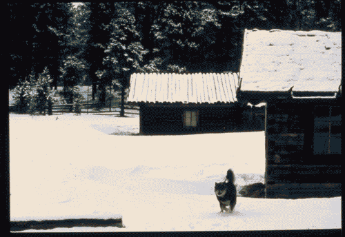 Image for Mostra su Tapio Wirkkala - Case in legno