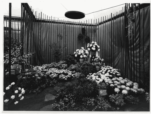 Image for X Triennale - Parco Sempione - Padiglione del fiore - Augusto Magnaghi - Carlo Pagani - Mario Terzaghi