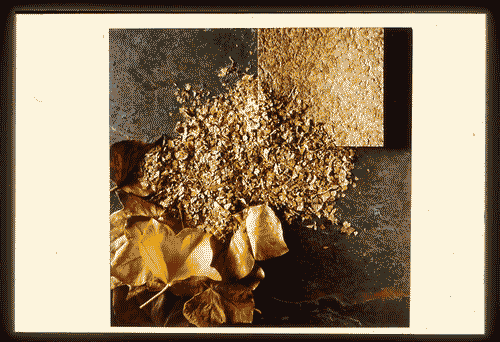 Image for XVIII Triennale - Partecipazioni internazionali - ICSID. I tre fondamenti dell'ICSID - Materiale biodegradabile ottenuto da foglie triturate con amido