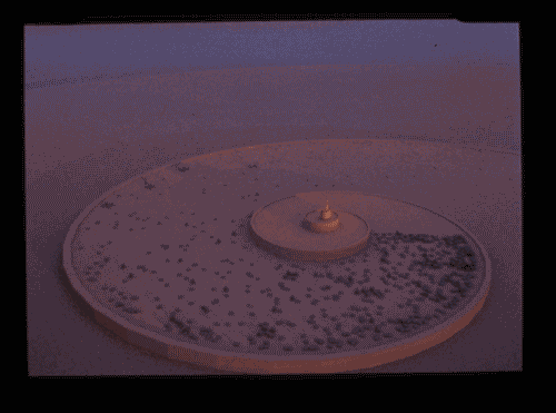 Image for Oltre il villaggio globale